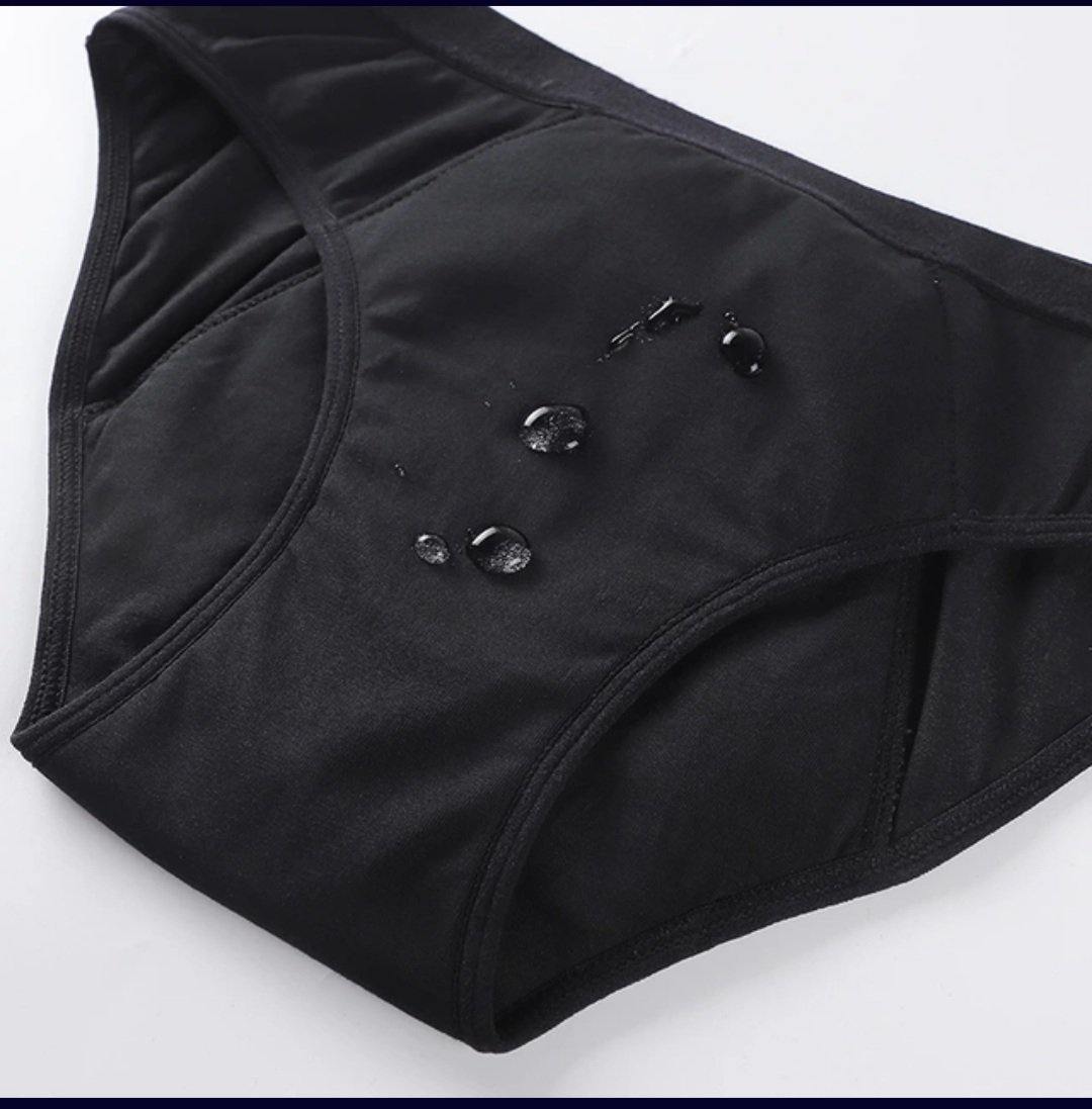 Adults Leak Proof Period Panties - awesomeliyou